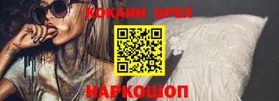 гашик Кингисепп
