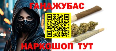 гашик Кингисепп