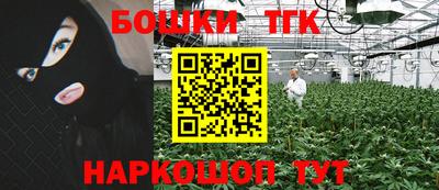гашик Кингисепп