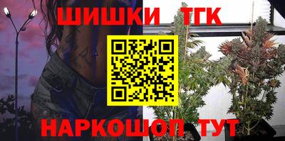гашик Кингисепп