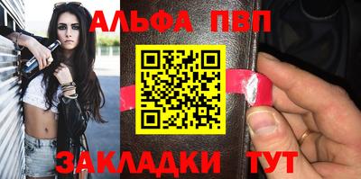 гашик Кингисепп