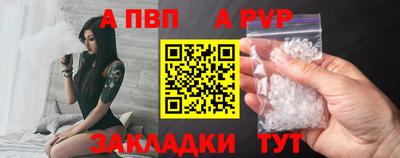 гашик Кингисепп