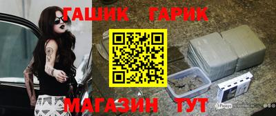 гашик Кингисепп