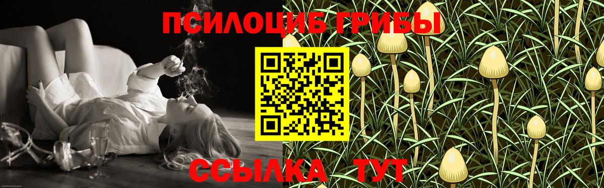 Галлюциногенные грибы GOLDEN TEACHER Красноярск