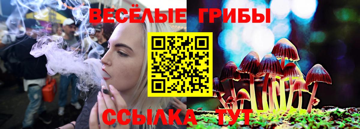 Красноярск  Псилоцибиновые грибы GOLDEN TEACHER  закладка  Псилоцибиновые грибы Psilocybe  Вход с VPN 